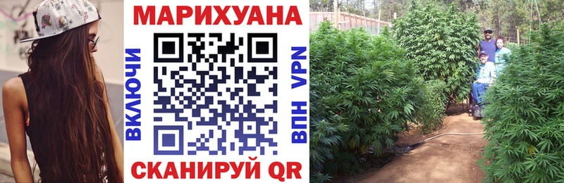 Шишки марихуана план  Купить закладки  Болохово 